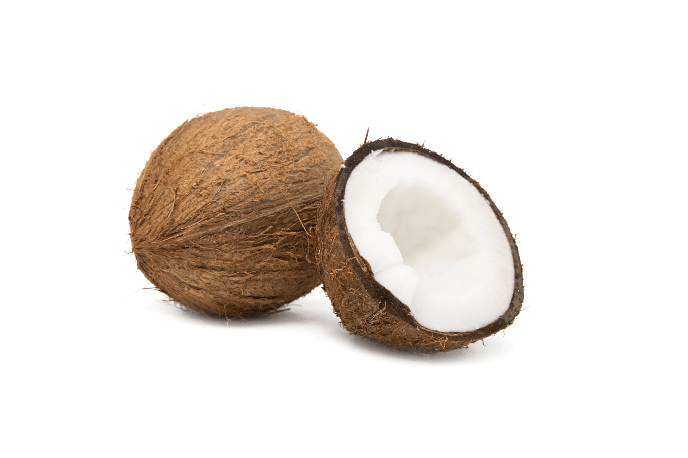 coconut.png