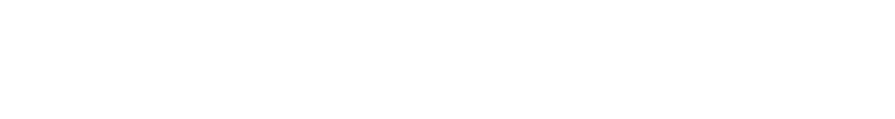 big-logo-text